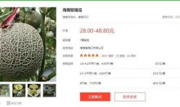 娱乐吃瓜酱的创作思路,吃瓜酱带你领略幕后风云