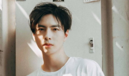 娱乐吃瓜酱蒲熠星,娱乐吃瓜界的明星，揭秘娱乐圈幕后故事