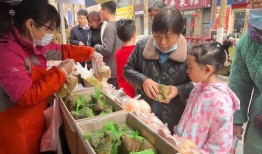 娱乐吃瓜场湛江,吃瓜群众的热议焦点