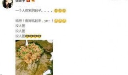 娱乐圈吃瓜剪映模板,明星幕后故事大起底！