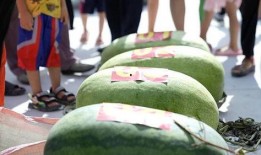 吃瓜网每日大赛最新入口,揭秘最新入口，精彩赛事不容错过！