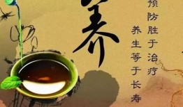 娱乐吃瓜酱中医养生,吃瓜之余，健康生活新主张