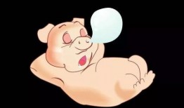 吃瓜猪娱乐,揭秘娱乐圈幕后故事，带你领略明星们的真实生活