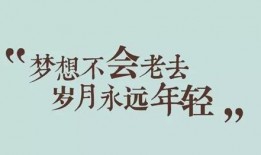 娱乐吃瓜酱励志句子,从娱乐碎片中汲取人生力量