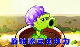 娱乐吃瓜酱豌豆射手,揭秘娱乐圈那些不为人知的幕后故事