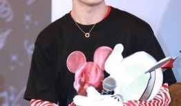 娱乐圈吃瓜爆料刘雨昕,娱乐圈风云变幻中的璀璨星辉