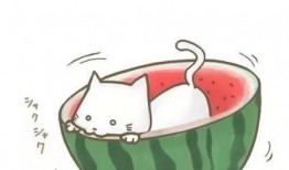 娱乐吃瓜酱头像图片,揭秘娱乐圈那些不为人知的幕后故事