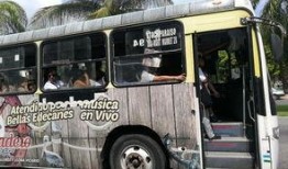 娱乐吃瓜酱公交车,揭秘明星幕后趣事