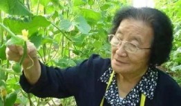 娱乐吃瓜酱一半是植物人