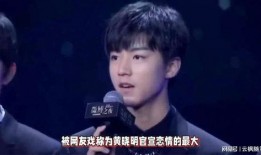 吃瓜娱乐圈王俊凯,娱乐圈的瓜田明星