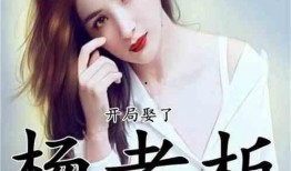 娱乐吃瓜酱老板小说下载,老板小说下载，揭秘娱乐圈幕后风云