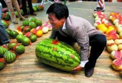 吃瓜网每日大赛最新入口,揭秘最新入口，精彩赛事不容错过！