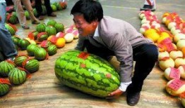 吃瓜网每日大赛最新入口,揭秘最新入口，精彩赛事不容错过！