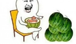 娱乐吃的瓜