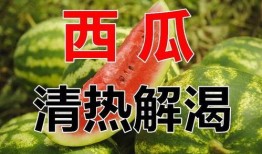 娱乐吃瓜酱过生日文案,一场欢乐与惊喜的盛宴