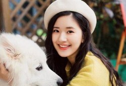 娱乐圈吃瓜赵露思小说,娱乐圈的甜蜜瓜田