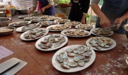 娱乐吃瓜场湛江,吃瓜群众的热议焦点