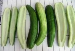 娱乐吃瓜酱江浙沪,揭秘娱乐圈幕后故事